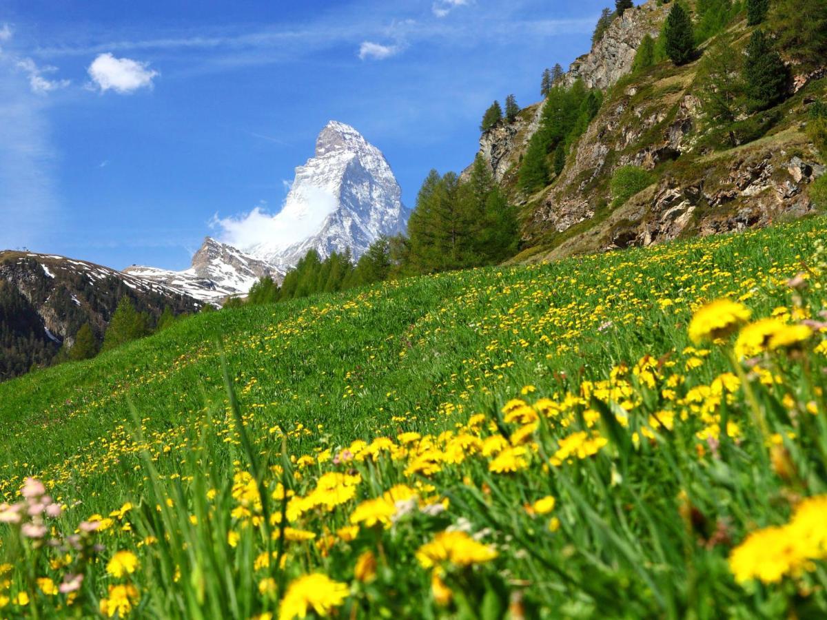 Apartment Silence-1 By Interhome Zermatt Luaran gambar